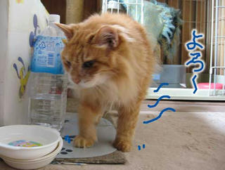 ムック5