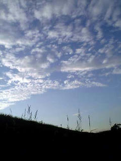 空1