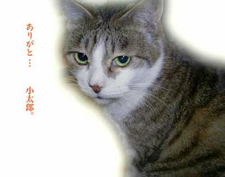 kotaro