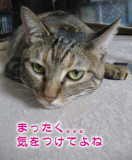 sango913
