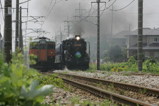 D51