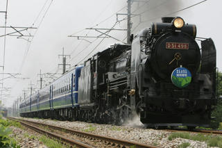 D-51-2