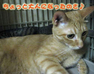 yone3
