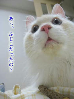 harry088292