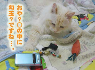 harry0809261