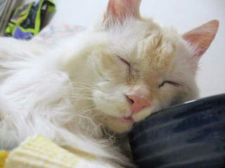 harry0810281