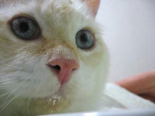 harry0811065
