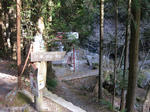 IMG_0005.jpg