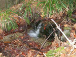 s-IMG_0006.jpg