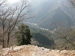 IMG_0015.jpg