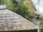 k-IMG_0019.jpg