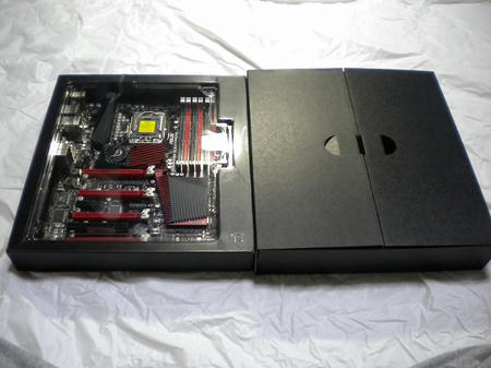 DSCN1955.jpg
