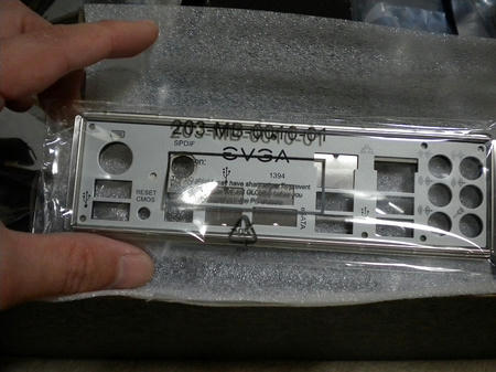 DSCN2520.jpg