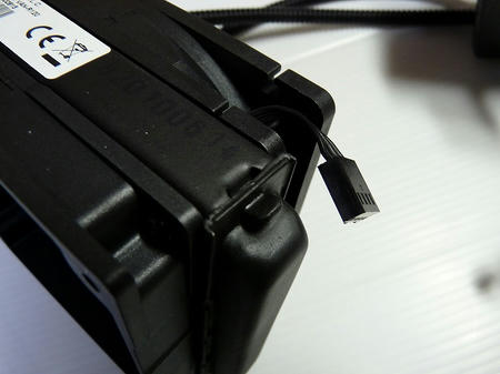 P1000229.jpg