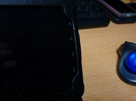 P1030575.jpg