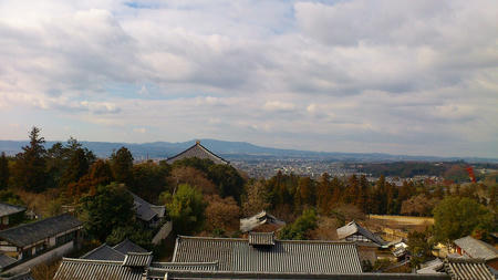 DSC_0157.jpg