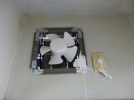 P7080010.jpg