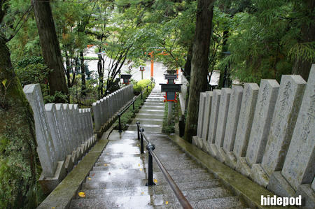 DSC00099-13.jpg