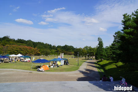 DSC00097-2-2.jpg