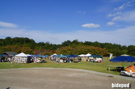 DSC00100-4-2.jpg