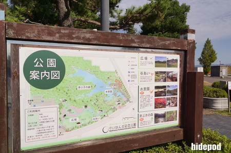 DSC00099-3-2.jpg