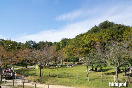 DSC00118-9-2.jpg