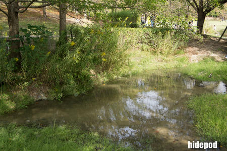 DSC00157-25-5.jpg