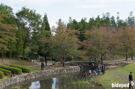DSC00169-37-12.jpg
