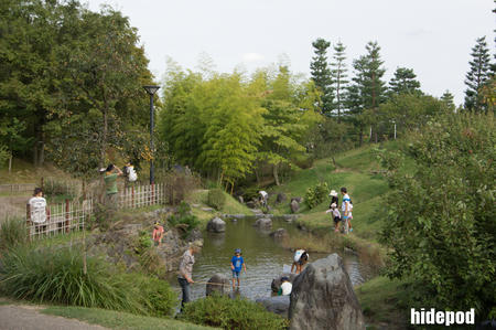 DSC00171-39-13.jpg
