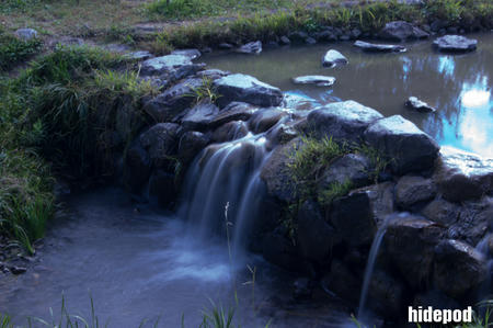 DSC00175-41-15.jpg