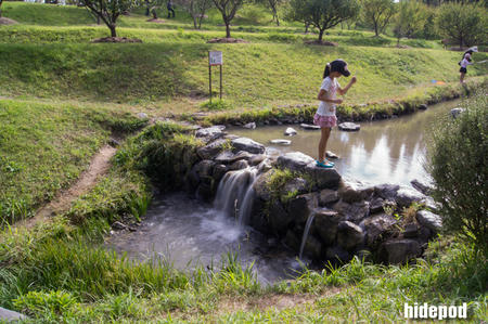 DSC00182-45-19.jpg