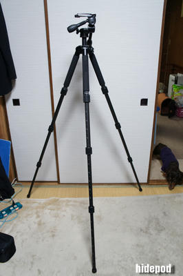 DSC00258-14.jpg