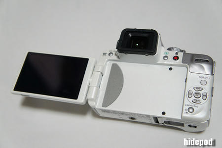 DSC00313-2.jpg
