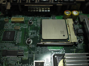 CIMG3051.JPG