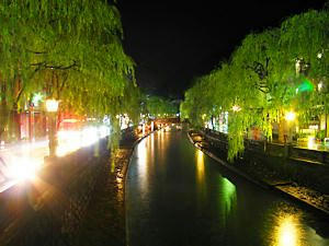 koubeyanagi.jpg