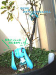 32f0e788.jpg