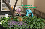 81182a0c.jpg