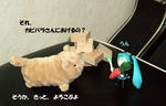 44d01119.jpg