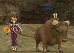 ushi