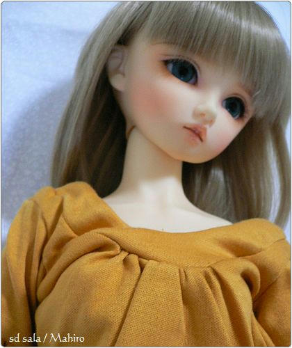 茉潤