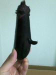 201007200129000.jpg