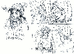 c5df4364.gif