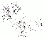 f38660fb.gif