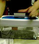 070825-2213.jpg