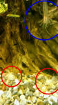 20b7efe6.JPG