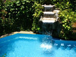 poo0048-022_m.jpg