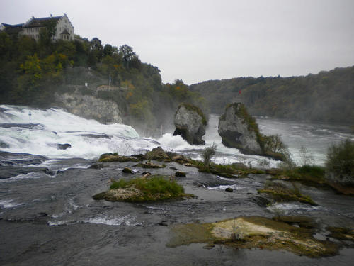 DSCN1433.jpg