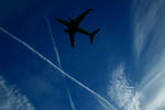 IMG_3175.jpg