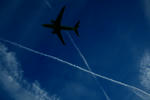 IMG_3176.jpg