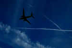 IMG_3177.jpg